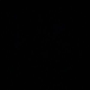 Meet your Posher, Marcus